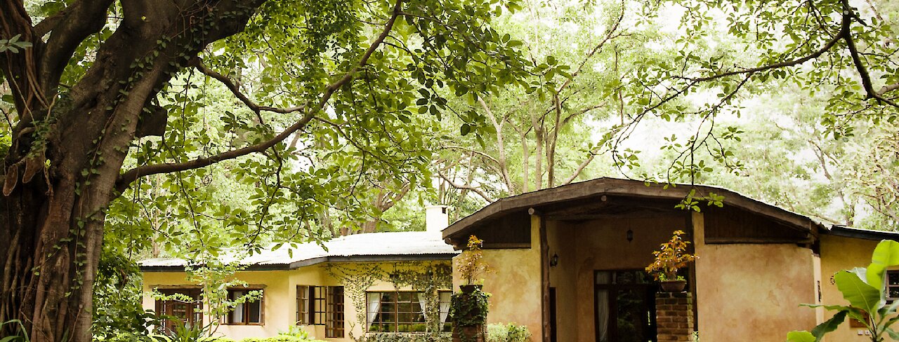 Eingangsbereich zu den Rivertrees Country Inn Unterkünften umgeben von Natur des Arusha-Nationalparks