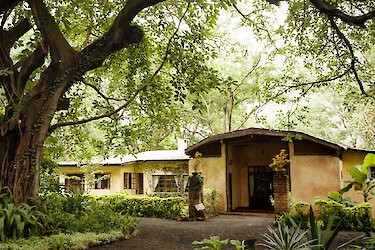 Eingangsbereich zu den Rivertrees Country Inn Unterkünften umgeben von Natur des Arusha-Nationalparks