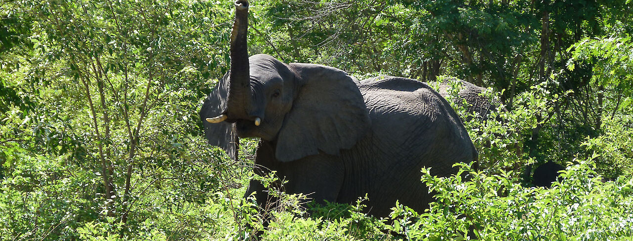 Gruppenreise nach Botswana - Die schönsten Wildparks