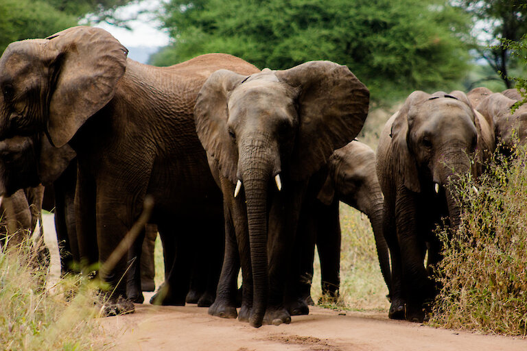 Akwaba Afrika Reisen