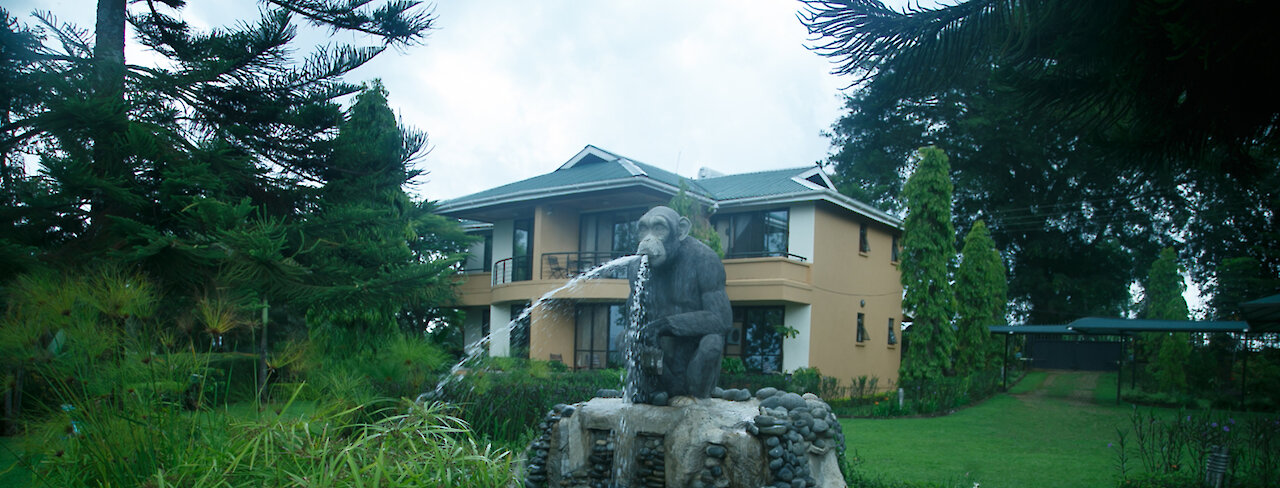Wasserbrunnen in Form eines Affen im Fort Motel