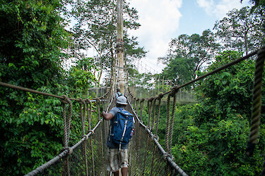 Hängebrücke im Kakum Nationalpark