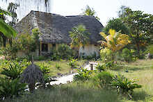 Außenansicht des Zanzibar Pearls mit Garten