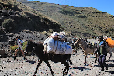 Tag 7: Entlang der Ausläufer des Simien-Gebirges nach Axum
