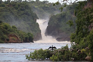 Blick auf die Murchison Falls vom Viktorianil in Uganda