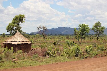 Blick auf eine kleine Strohhütte am Straßenrand in Uganda