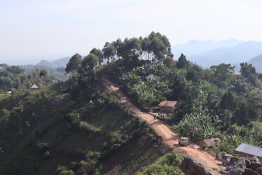 Blick auf die gewundene Straße durch Buhoma im Bwindi-Nationalpark in Uganda