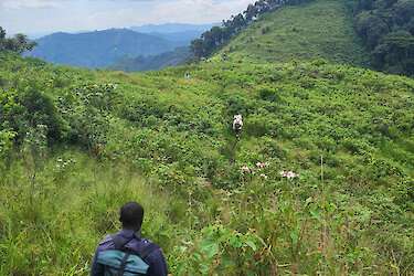 Wanderung von Buhoma nach Cyanika