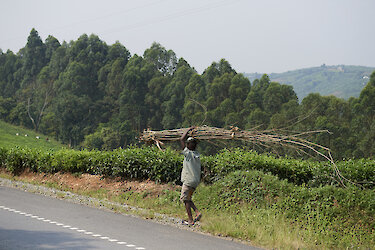Auf dem Weg vom Lake Mutanda nach Kigali
