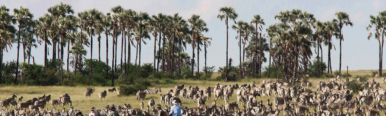 Camp Kalahari Reisesafari. Botswana