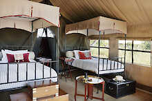 Camp Kalahari Zelt mit Twin Betten