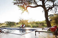 Camp Kalahari Pool mit Liegestühlen