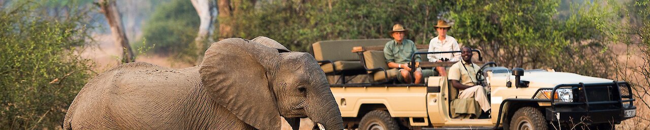 Sambia Nkwali Camp Elefant mit Safarifahrzeug.