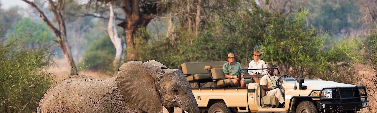 Sambia Nkwali Camp Elefant mit Safarifahrzeug.