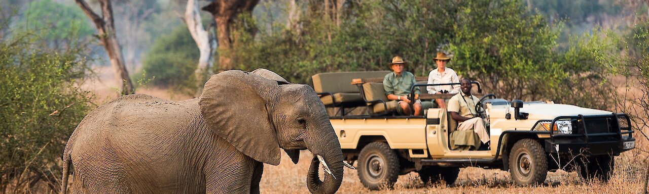 Sambia Nkwali Camp Elefant mit Safarifahrzeug.