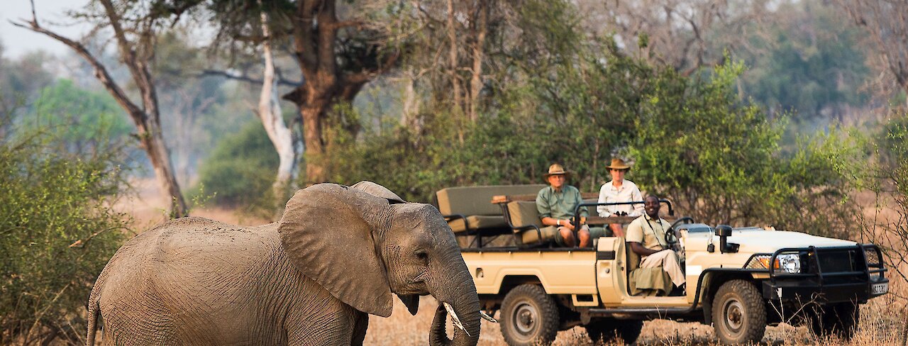 Sambia Nkwali Camp Elefant mit Safarifahrzeug.