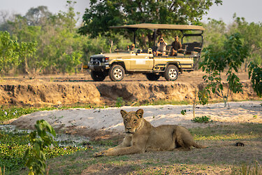 Auf Pirschfahrt im Mana-Pools-Nationalpark