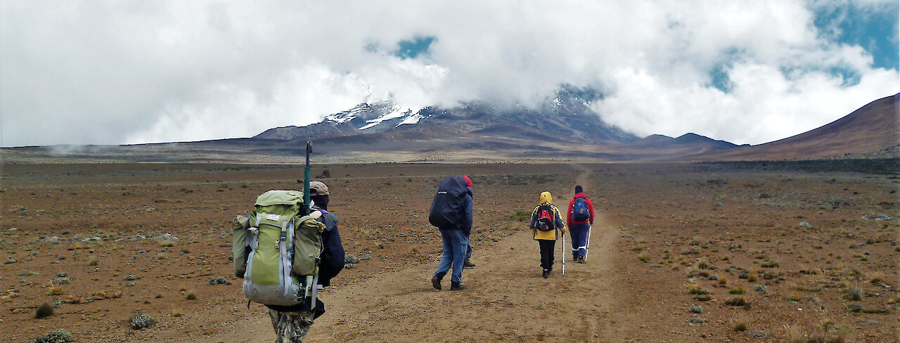 Wanderer mit Rucksäcken auf der Route zum Kilimandscharo