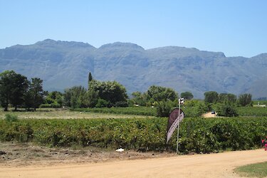 Weingut Boschendal - Franschhoek-Tals