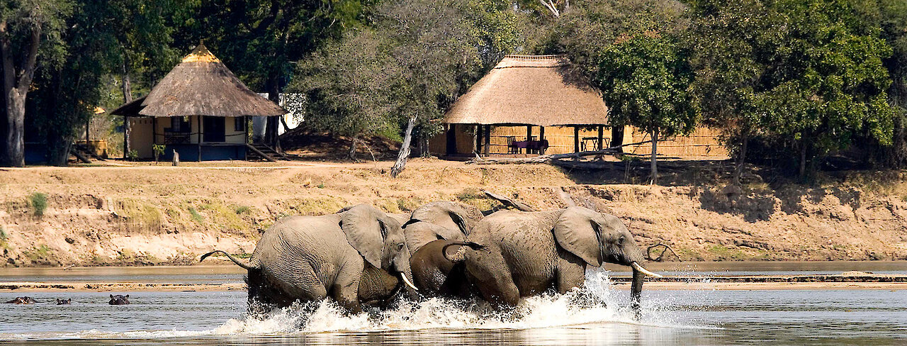 Elefantenherde im Luangwa-Fluss vor dem Nsefu Camp