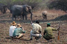 Safari-Wanderungen im South-Luangwa-Nationalpark