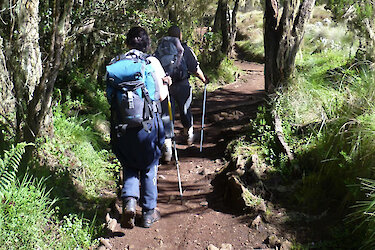 Zwei Wanderer auf dem Abstieg