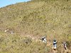 Träger auf dem Weg vom mti Kubwa Camp zum Shira 1 Camp