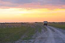 Safarifahrzeug im Nxai-Pan-Nationalpark