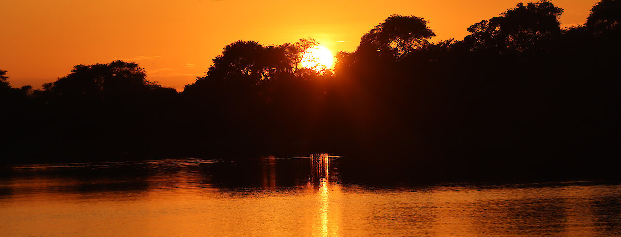 Sonnenaufgang über dem Chobe-Fluss