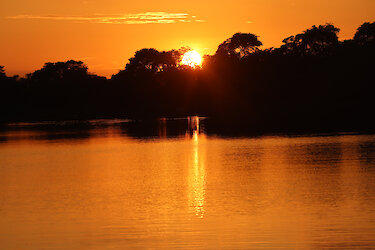 Sonnenaufgang über dem Chobe-Fluss