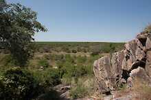 Savuti Blick