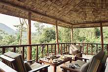 Sanctuary Gorilla Forest Camp Terrasse mit Sitzgelegenheit mit Kaffee und Kuchen Blick ins Grüne