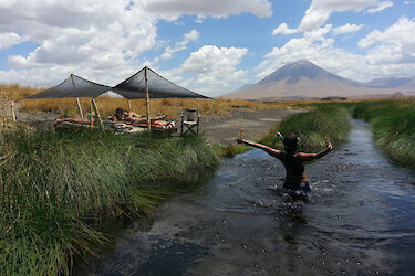 Natürlicher Pool, gespeist von einer klaren Quelle, Wasser, das direkt durch das Camp in den Natronsee fließt.