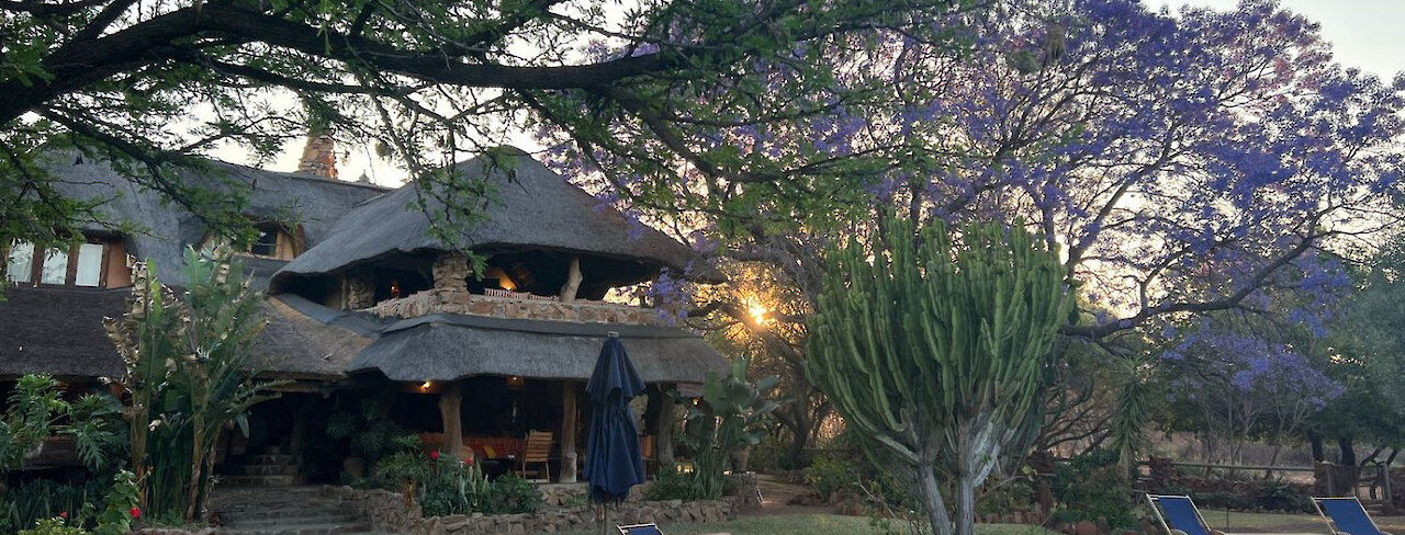 Ant´s Africa Safaris - Ant´s Nest, Pool mit Liegen, Hauptgebäude im Hintergrund. Südafrika