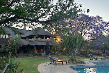 Ant´s Africa Safaris - Ant´s Nest, Pool mit Liegen, Hauptgebäude im Hintergrund. Südafrika