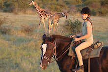 Ant´s Africa Safaris, Buschlandschaft, Reiterin auf Pferd mit Giraffen im Hintergrund