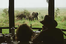 Elefanten vom Restaurant aus zu beobachten