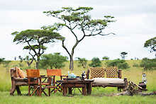 Sitzecke unter einem Baum