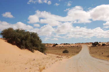 Landstraße in der Kalahari