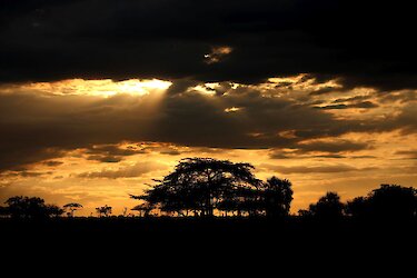 Sonnenuntergang im Nyerere-Nationalpark