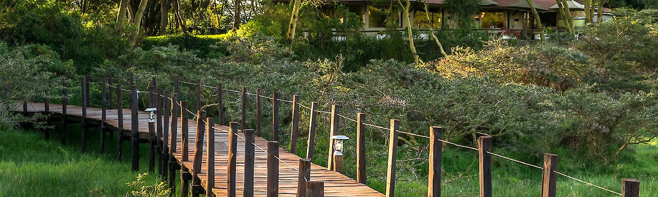 Blick auf den Weg zu der Hatari Lodge Unterkunft