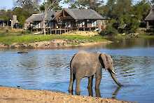 Arathusa Safari Lodge Wasserloch mit Elefant