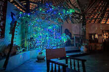 Weihnachtlich beleuchtete Lounge im Kasenyi Safari Camp