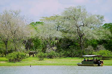 Bootssafari im Nyerere-Nationalpark