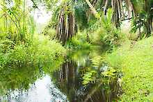 Kibale Forest Camp Wasserlauf
