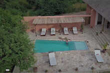 Kikonko Lodge Pool mit Sonnenliegen