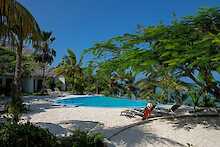 Shooting Star Lodge kleiner Infinity Pool mit Strandliegen