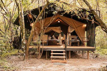 Soroi Mara Bush Camp im Zelt mit Ausblick auf Wald und Natur