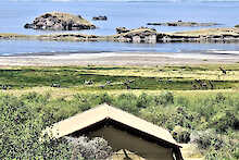 Africa Safari Lake Natron Camp Wildtiere vor Lake Natron