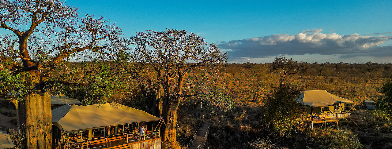 Blick auf die Olkeri Camp Unterkünfte im Tarangire-Nationalpark in Weitaufnahme